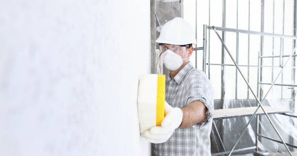 Best Mold Removal for HVAC Installations  in USA